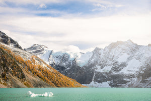 Glacier Babies, Lake of the Hanging Glacier, British Columbia